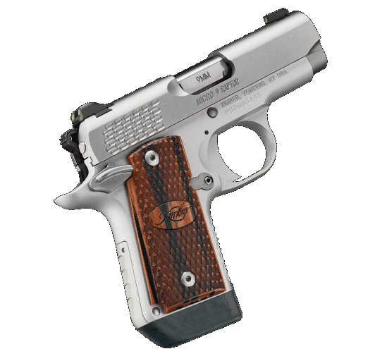 micro_9_stsraptor_ex_532x495_1_1