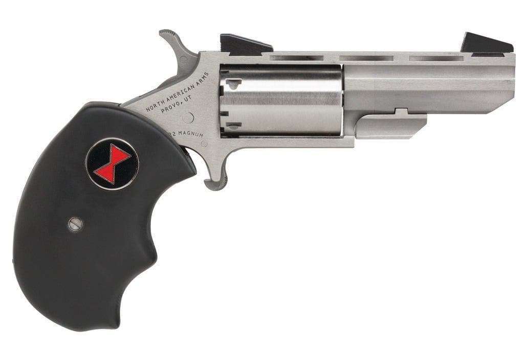 NAA BLACK WIDOW, STAINLESS, .22 MAG, 2" BARREL, 5-ROUNDS